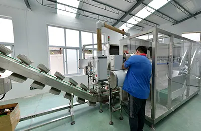 Zona de integración de línea completa