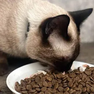 Alimentos para mascotas
