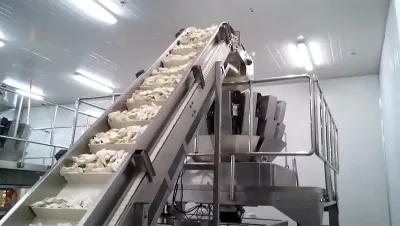 Máquina de envasado de bolsas preformadas para alimentos congelados