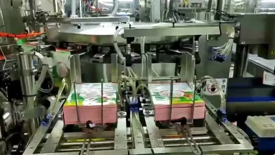 Envasado de pasta de soja de 700 g