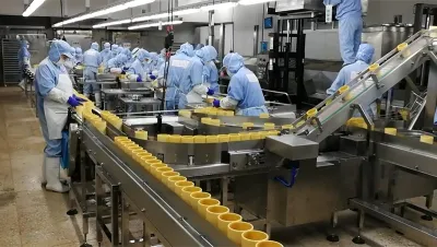 Máquina automática de envasado en bolsas YL-10SR