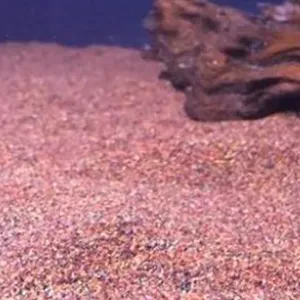 Línea de llenado de gránulos